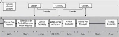 Prolonged Continuous Theta Burst Stimulation of the Motor Cortex Modulates Cortical Excitability But not Pain Perception